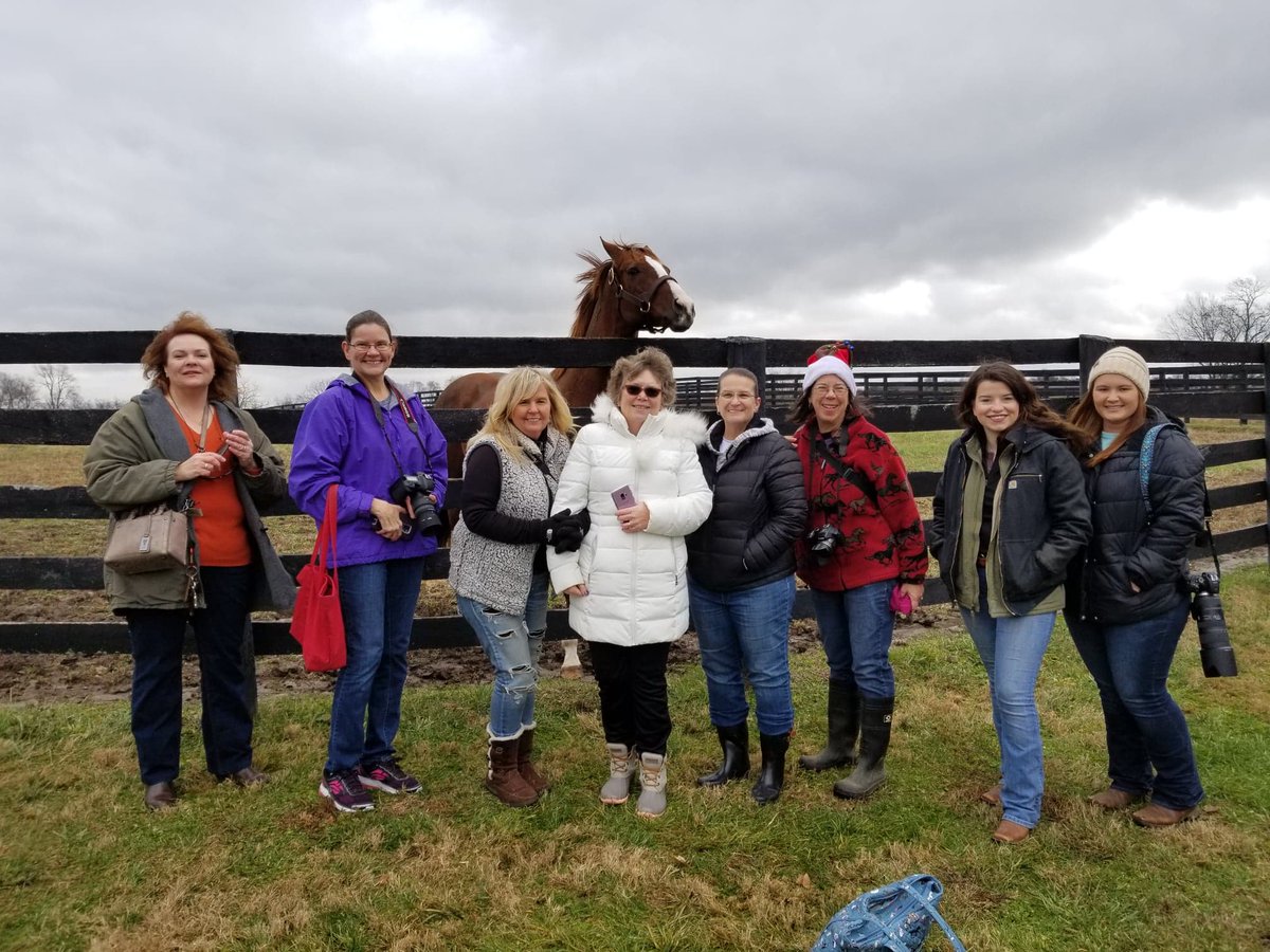 Last Horse Country tour group to visit California Chrome today.  Lisa Cade photo.  #taylormadefarm #visithorsecountry