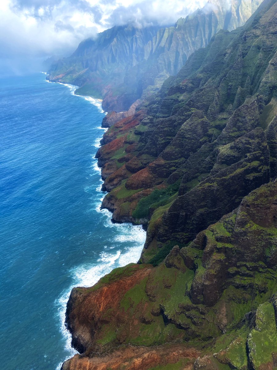 Janet Lynn tweet media