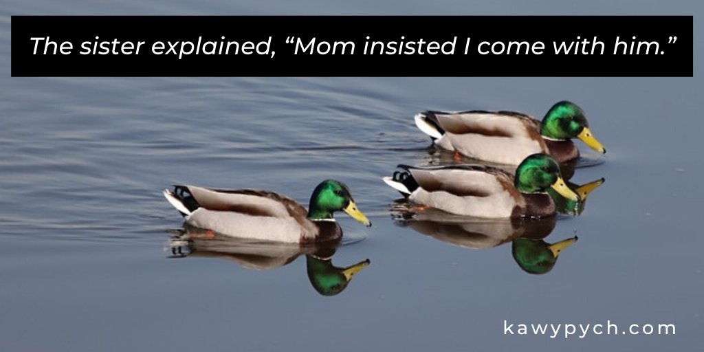 kawypych's tweet image. This is my favorite line from this blog. You&apos;ve got to check out this blind date mishap...

loom.ly/4ZtF9M0

#datinghumor #datingadvice #funnyblog bloghumor #bloggergirl #jesusandcoffee