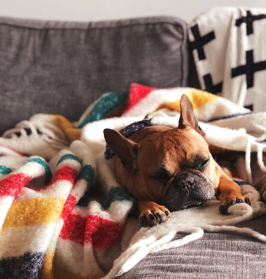 SOHOscottsdale's tweet photo. Work, live, play — and nap — at home in North Scottsdale when you live at SOHO.💤
.
.
.
#sohoscottsdale #soho #urbanliving #contemporaryliving #worklive #northscottsdale #liveworkcommunity #liveworkplay https://t.co/yp3s78SvlJ