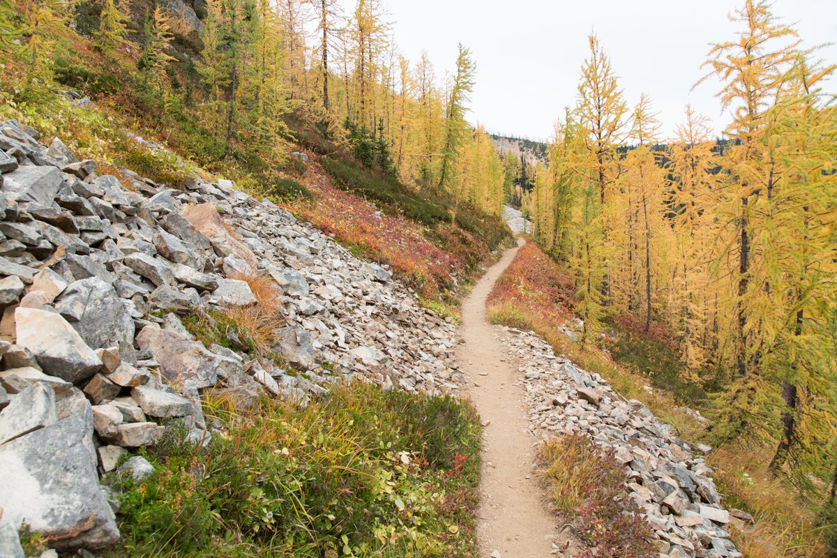 WanderTheWild's tweet photo. It's #GivingTuesday! This year we donated to @350, @PCTAssociation &amp; @OpenMedF. Plus we're donating 100% of proceeds from this year's #PCT book sale to environmental nonprofits.❤️

Pic from our book Pacific Crest Trail: A Journey in Photographs, https://t.co/K0HJenLK6M &amp; Amazon https://t.co/Aw2dnN35wF