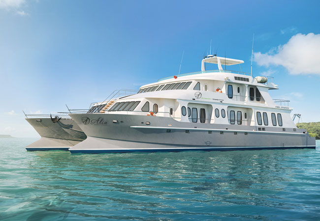 RevealedTravel's tweet photo. Revealed Travel are delighted to offer fantastic savings on selected cruises to the Galapagos Islands. Save hundreds of pounds on small-boat departures making a trip to the enchanted islands affordable.
https://t.co/zcB8v4LqTm https://t.co/WmB9b2wU7r