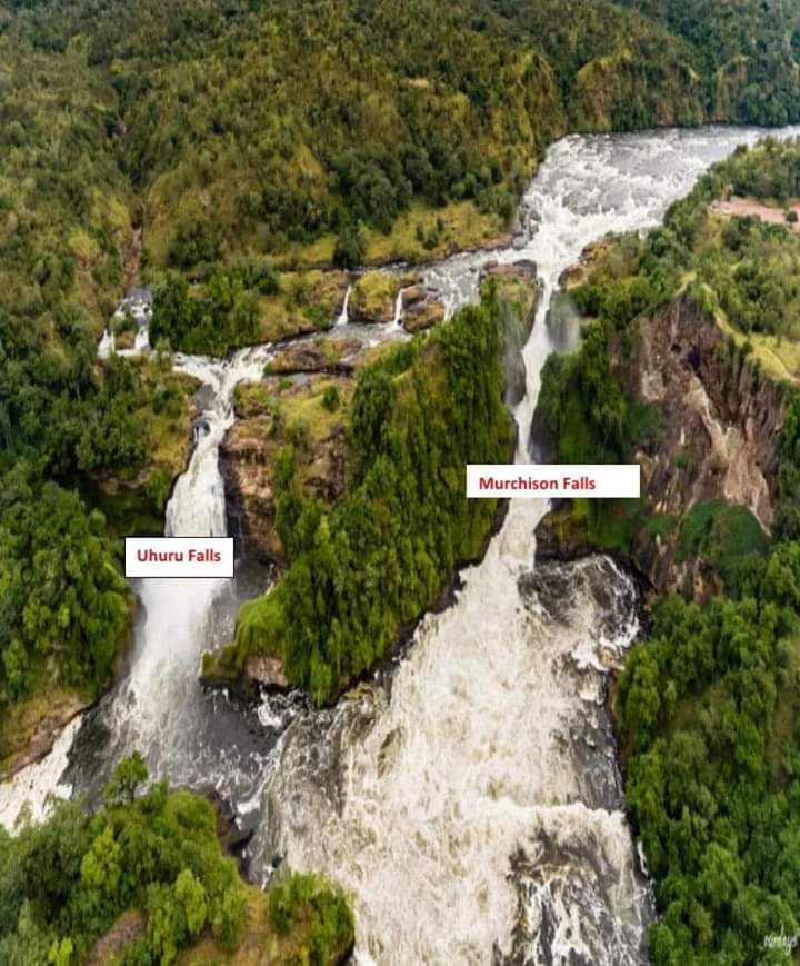 I don't think these idiots actually believe you can dam Uhuru and keep Murchison Falls. It's just a ploy to gradually eat away at resistance to the project. A case of the Arab and the camel. We shall not have it!  #SaveMurchisonFalls