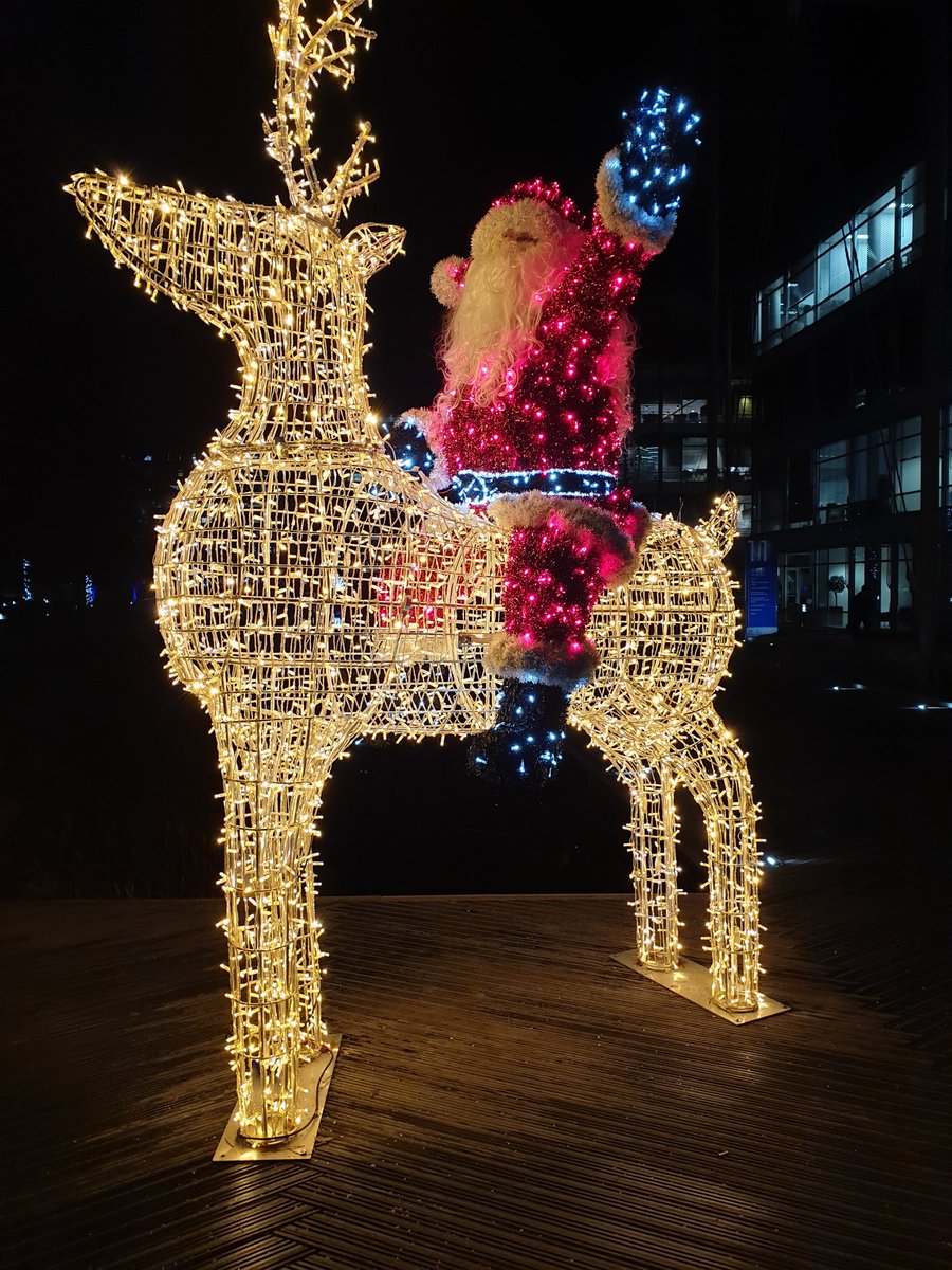 Alex_H_Griffin's tweet image. Next year, this in my garden #LifeGoals #LoveXmas