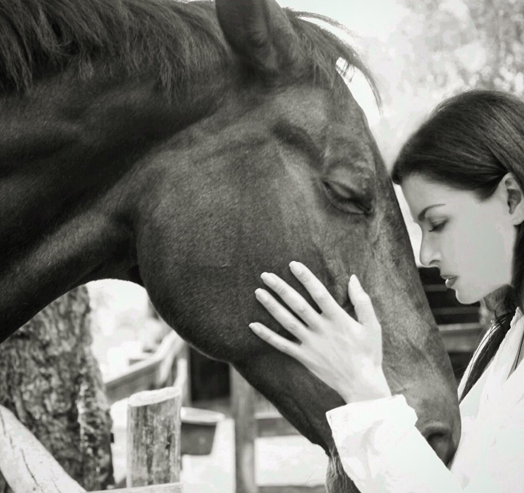 _wendyboth_'s tweet photo. I really enjoy working with #horses . #reiki is used to restore a more balanced energy flow throughout the body and brings the horses body back into balance so that it can help heal itself whether physically or emotionally. #wendyboth https://t.co/FdCghVNBfu