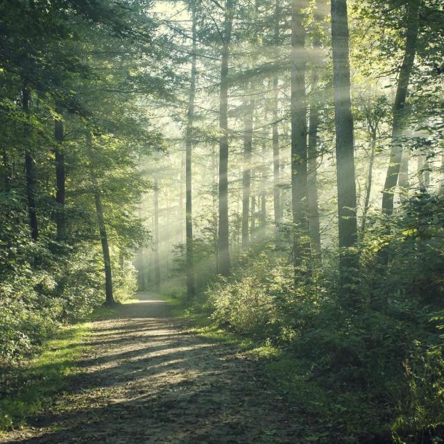 DNight87's tweet image. 