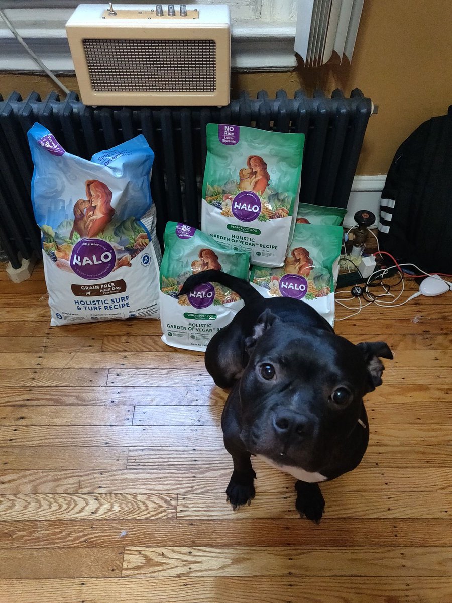 Philly No-Kill tweet media