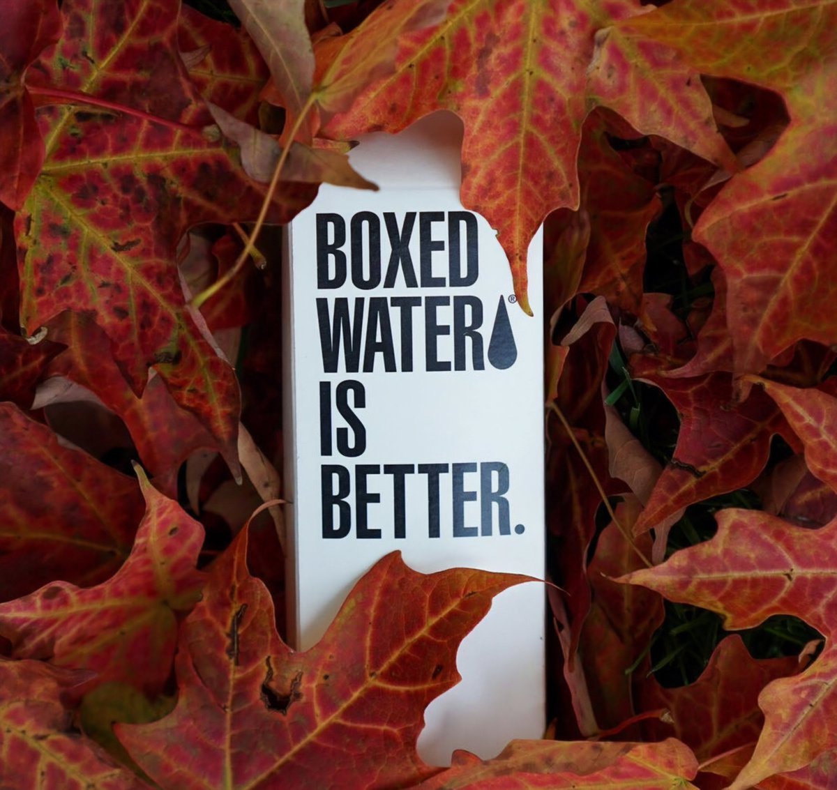 Boxed Water is an United States company that created a water packaged in a more environmentally-friendly way. 

🏷<a href="/boxedwater/">Boxed Water</a>

#ecobrand #ecofriendly #noplastic #boxedwaterisbetter #resetandtryagain 

© Photo by Boxed Water Is Better on Unsplash
