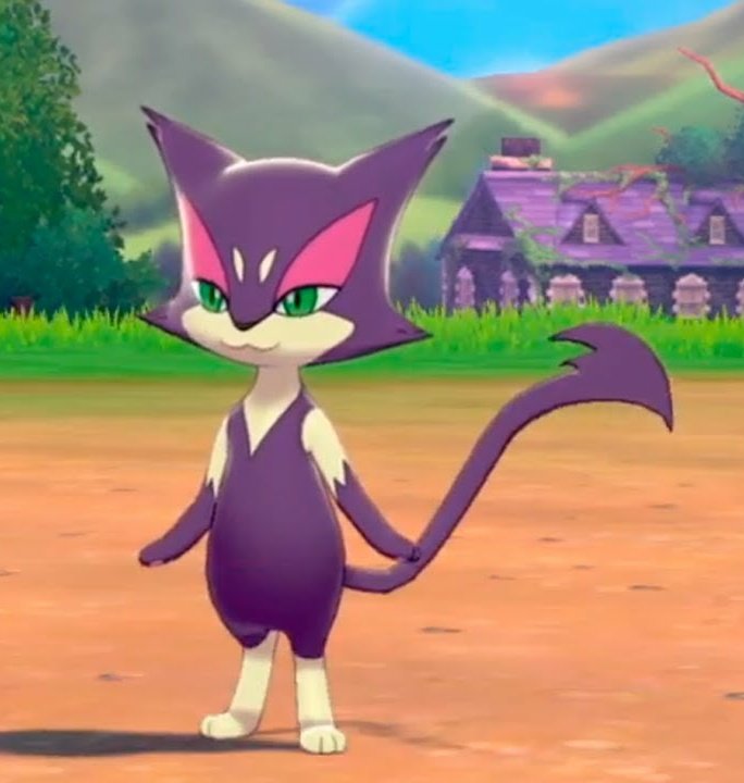 Purrloin Standing