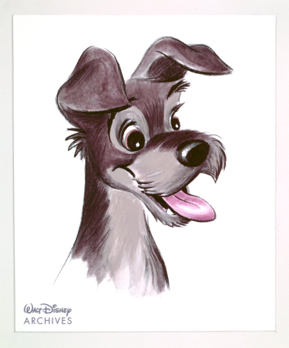 TWDCArchives's tweet photo. “Lady and the Tramp” debuted in 1955.  Did you know? The scene in the movie where Jim Dear surprises his wife with a puppy in a hatbox was inspired by a similar real-life gift Walt Disney gave his wife, Lillian, one Christmas.  #ladyandthetramp #disneydogs #disneyclassic https://t.co/8IDHMV8C0y