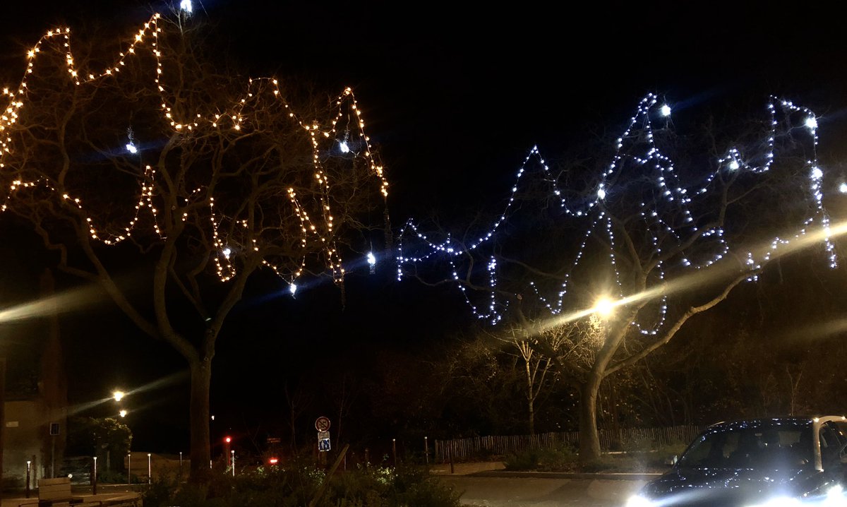 BOULESTREAU Francine tweet media