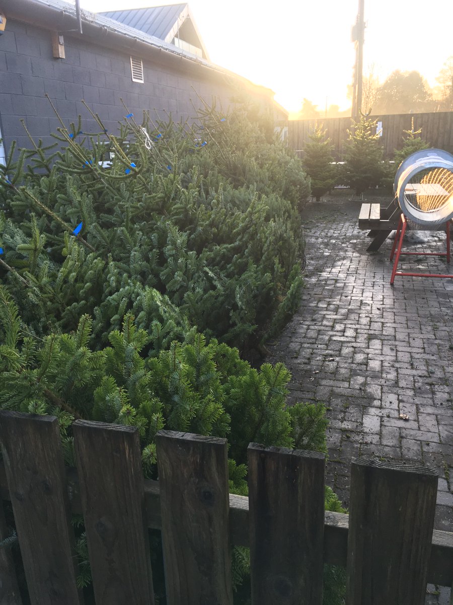 Christmas trees arrived, have a lovely selection, pop in, we’re open 7 days a week.