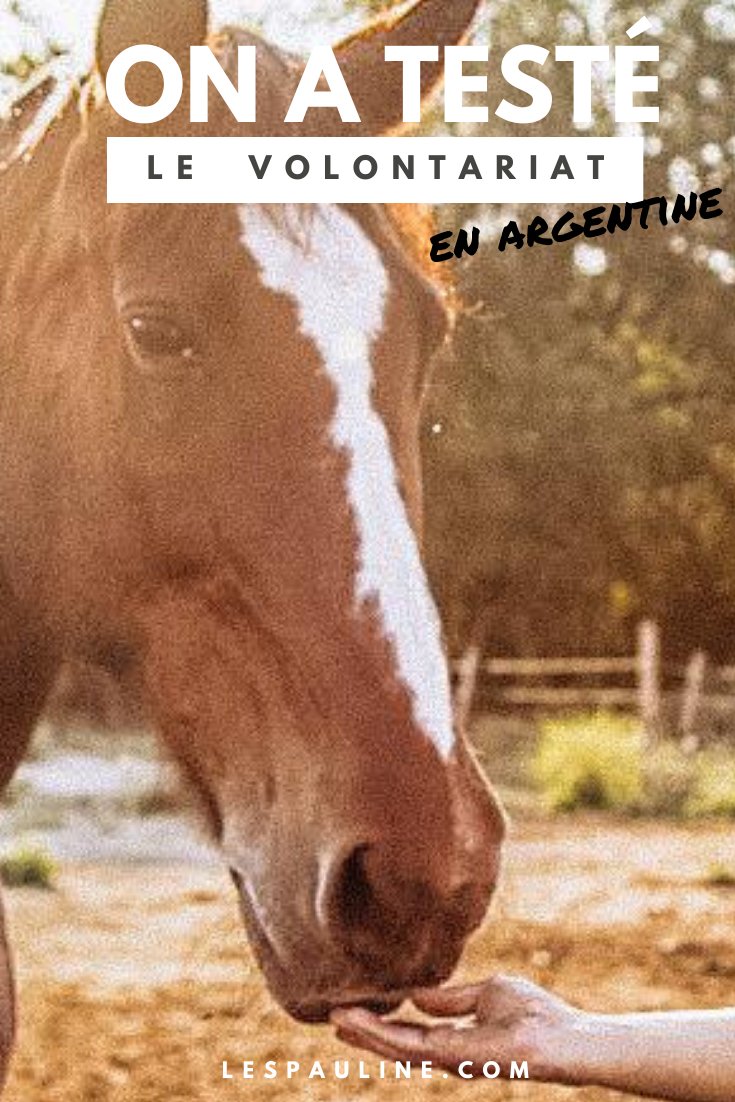 ON A TESTE... LE VOLONTARIAT EN ARGENTINE 🐎🇦🇷🐆
Tu aimerais faire un peu plus que le touriste en #Argentine ? Pourquoi ne pas tester le #volontariat ? J’ai visité projets et te raconte mon expérience⬇️
lespauline.com/guides-de-voya…