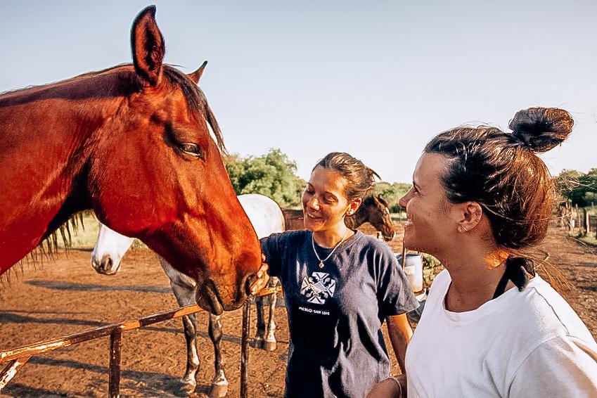 ON A TESTE... LE VOLONTARIAT EN ARGENTINE 🐎🇦🇷🐆
Tu aimerais faire un peu plus que le touriste en #Argentine ? Pourquoi ne pas tester le #volontariat ? J’ai visité projets et te raconte mon expérience⬇️
lespauline.com/guides-de-voya…