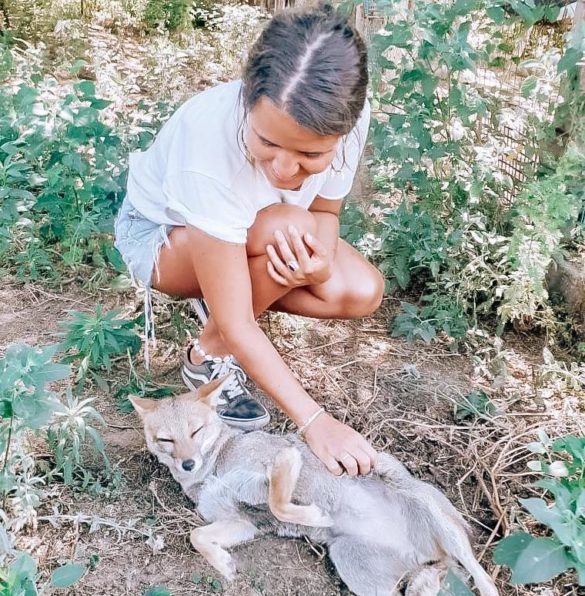 ON A TESTE... LE VOLONTARIAT EN ARGENTINE 🐎🇦🇷🐆
Tu aimerais faire un peu plus que le touriste en #Argentine ? Pourquoi ne pas tester le #volontariat ? J’ai visité projets et te raconte mon expérience⬇️
lespauline.com/guides-de-voya…