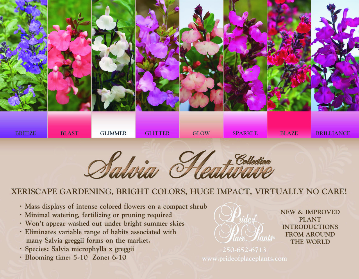 Pride of Place Plant on Twitter "when making plans for your growing of