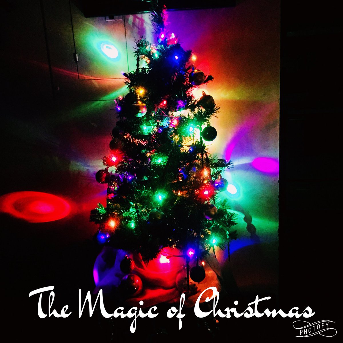 nickolemae's tweet photo. Nathaniel &amp; His Charlie Brown Christmas Tree!
   🌟 The Magic Of Christmas 🌟 https://t.co/Sf81bnLr2f