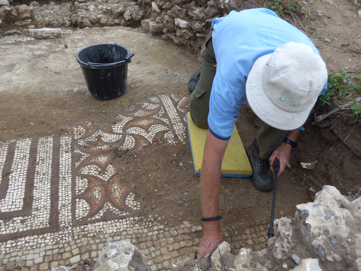 So, if you want to hear more about this thing that we found with @DorsetWildlife watch ep 3 #DiggingforBritain with @theAliceRoberts tomorrow Wed 4th Dec 9pm #BBC4

It really is quite a nice thing 😁

#Roman #mosaic @Roman_Britain @BUresearch @TheRomanSoc #D4B8 @BU_BAArchAnth