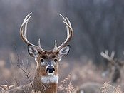 CBabe06's tweet image. 