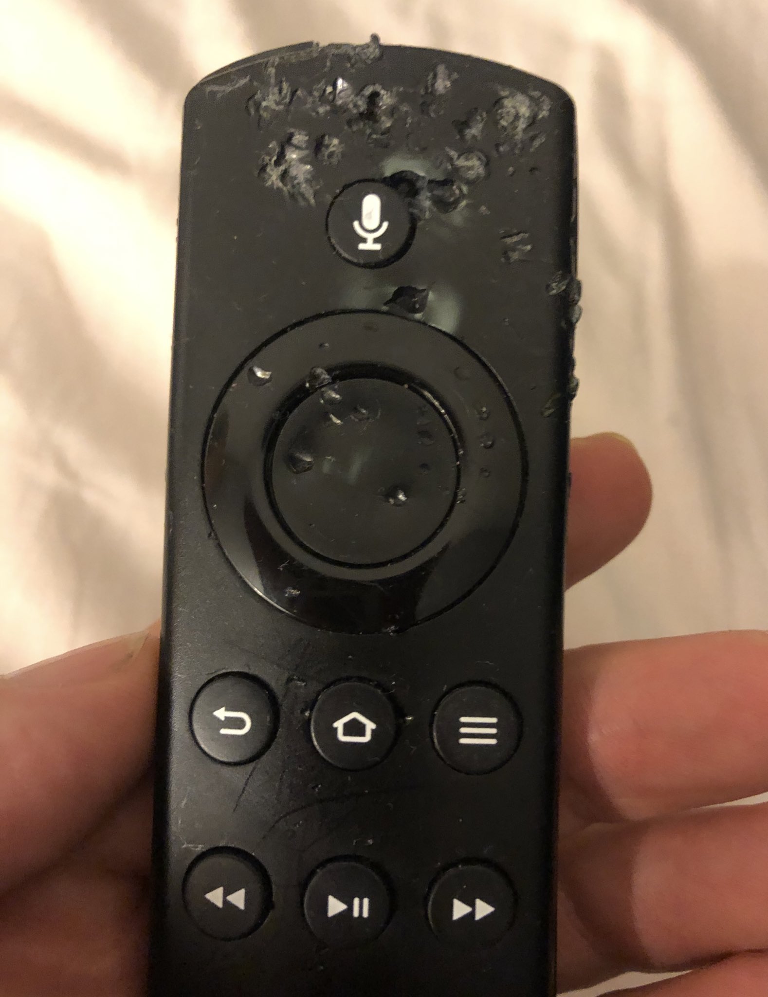 Dog tv on firestick hot sale