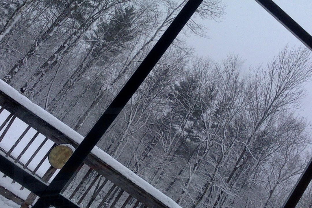 CBabe06's tweet image. EAT
SLEEP
BRAAAP
REPEAT