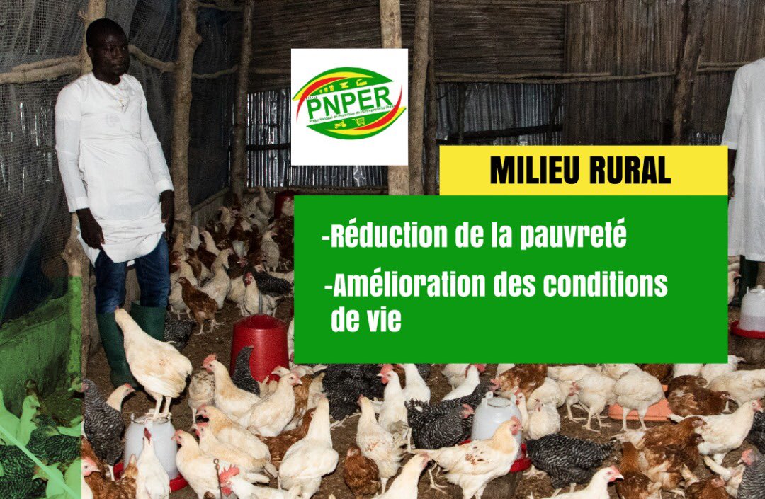 PNPER TOGO tweet media