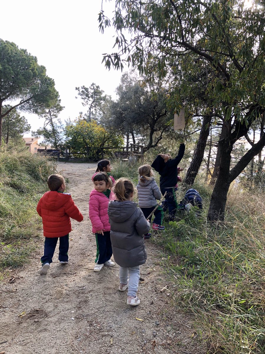SafaMasnou's tweet photo. EI3. A la recerca del tió de Nadal. Ara li hauran de donar mandarines i alguna llepolia perquè un  dia pugui cagar els regals esperats. #somsafamasnou #safaurgell #unaescolaperviurela #xarxeslocalsen21 #caçatio https://t.co/sgom2ZqWoU