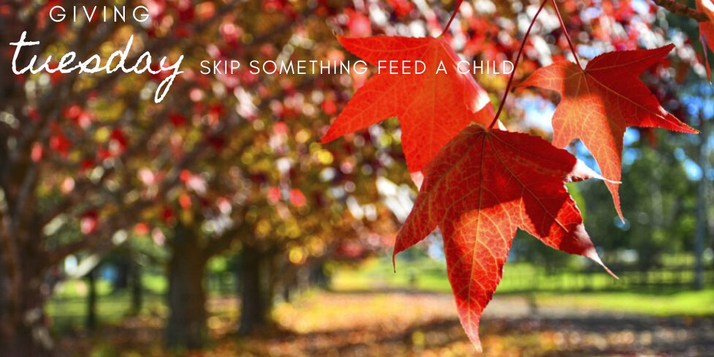 Tuesdays are for giving. Skip1 thing today and donate at Skip1.org #givingtuesday <a href="/shelenebryan/">Shelene Bryan</a>
