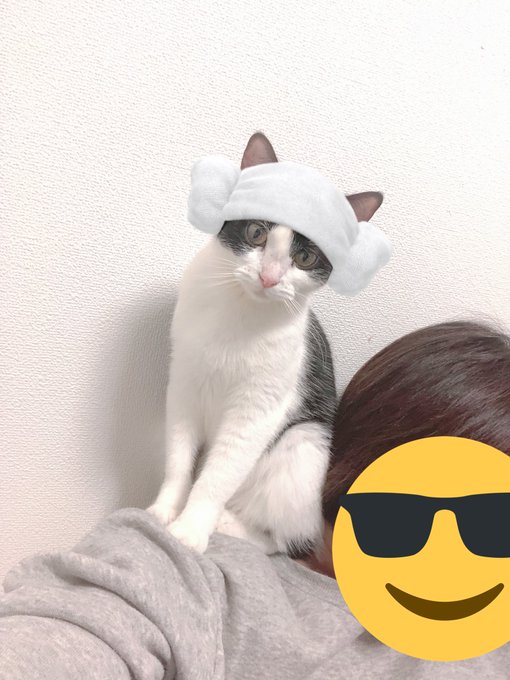 Hachu Ryopeさんのイラスト一覧 4ページ目