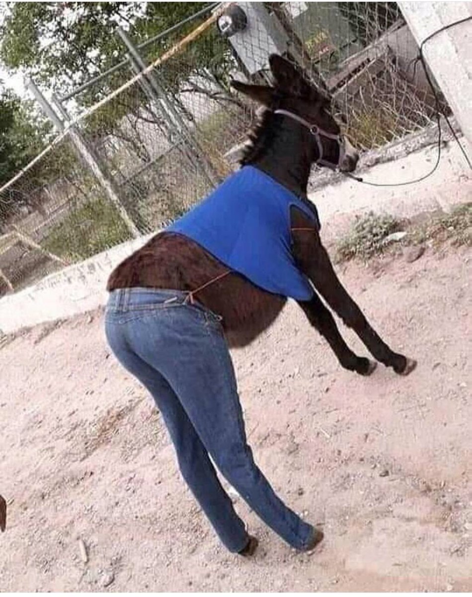 valeritto's tweet photo. No mames tengo un compañero de trabajo bien idéntico https://t.co/46cnK2GJsi