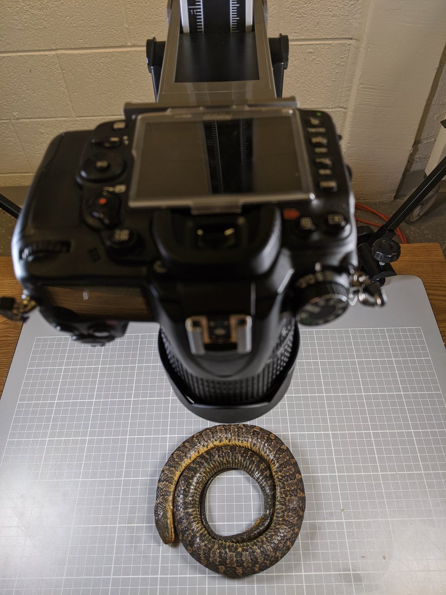 Ramon Nagesan tweet media