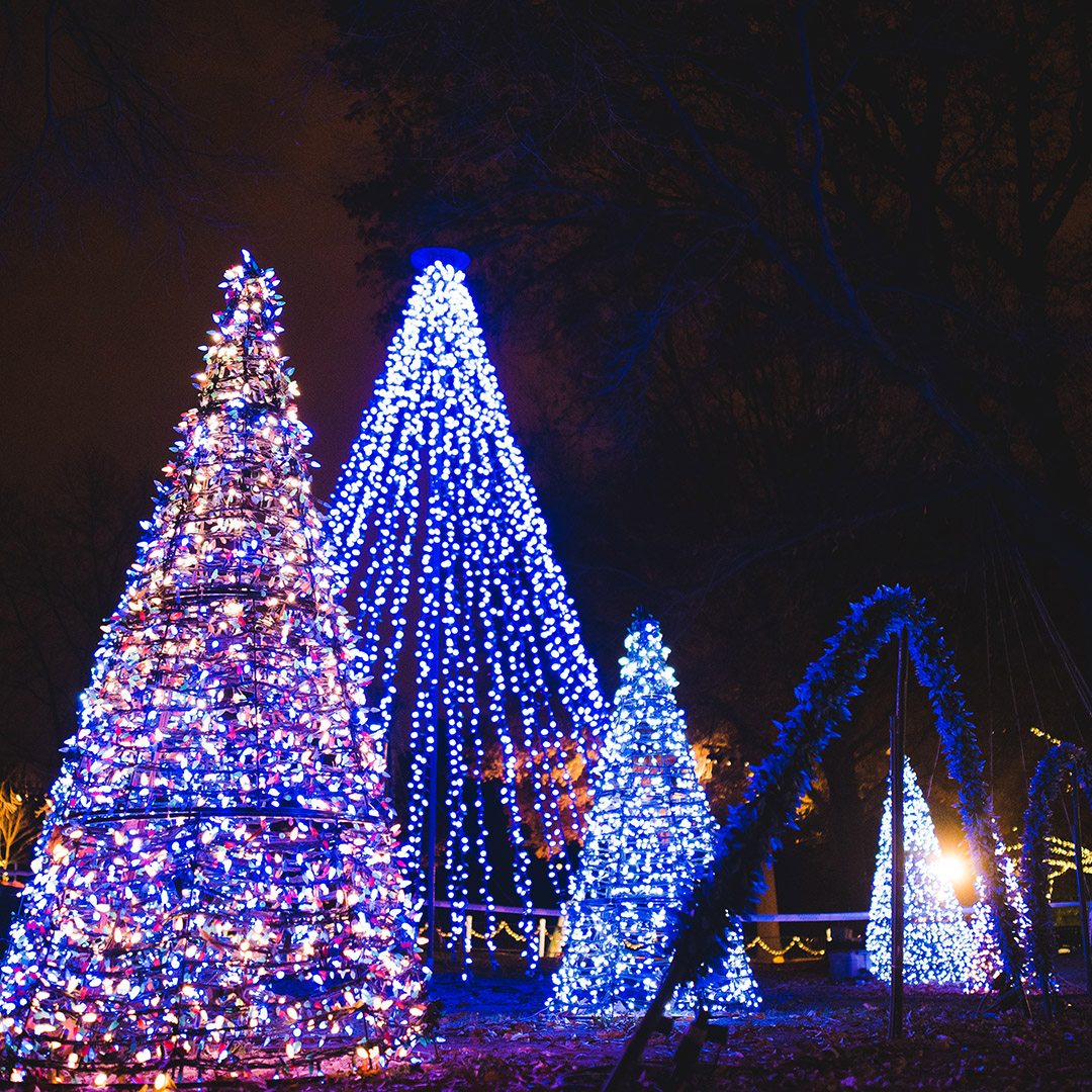 WMALDC's tweet photo. @WMALDC is a proud sponsor of @FONZNationalZoo's #BrewLights -part of #DCZooLights open now through Jan. 1. Details here - https://t.co/i8SRinkxui https://t.co/k4YAe8OXsj