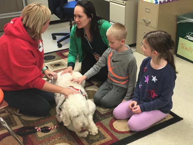 WSE_Elementary's tweet photo. So proud of Natalie and Jaxon, the first WSE students this year to earn and save 100 Wonder Bucks for being safe, responsible and respectful!  They traded their 100 Wonder Bucks for  a chance to spend time with therapy dog, Zulu.  What fun!#yoursalisbury https://t.co/SJQE9aRDhT