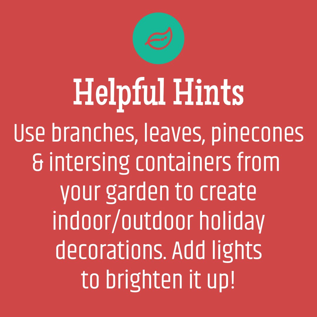 Get creative when decorating for the Holidays! ✨🌲

#christmastime #christmasiscoming #helpfulhints #christmasdecor #gardeningadvice #plantlovers #southportncgardencenter #decembergardening #southportnc #allinbloomsouthport