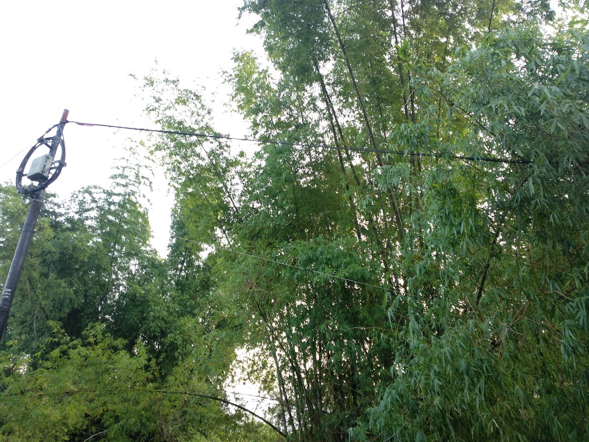 singgih_09's tweet photo. NAMA : Jatu Permawati
NO ID : C1341518
INFORMASI : Ada bambu roboh yang nyangkut dan menumpangi kabel jaringan myrep di depan rumah kami. Mohon info nomor call center kantor malang spy bisa saya infokan.Krn takutnya kburu putus kabelnya apabila menyangga terlalu lama.Makasih. https://t.co/wp9Kdm54JW
