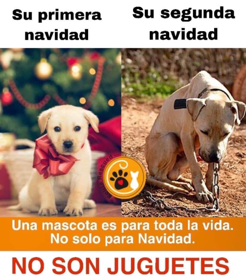 PerroMazapan's tweet photo. Depende de ti https://t.co/vMq9NvInfp