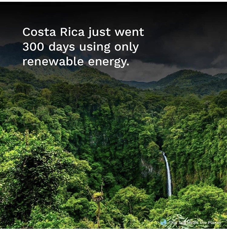 umanamd's tweet image. Go green! #PuraVida