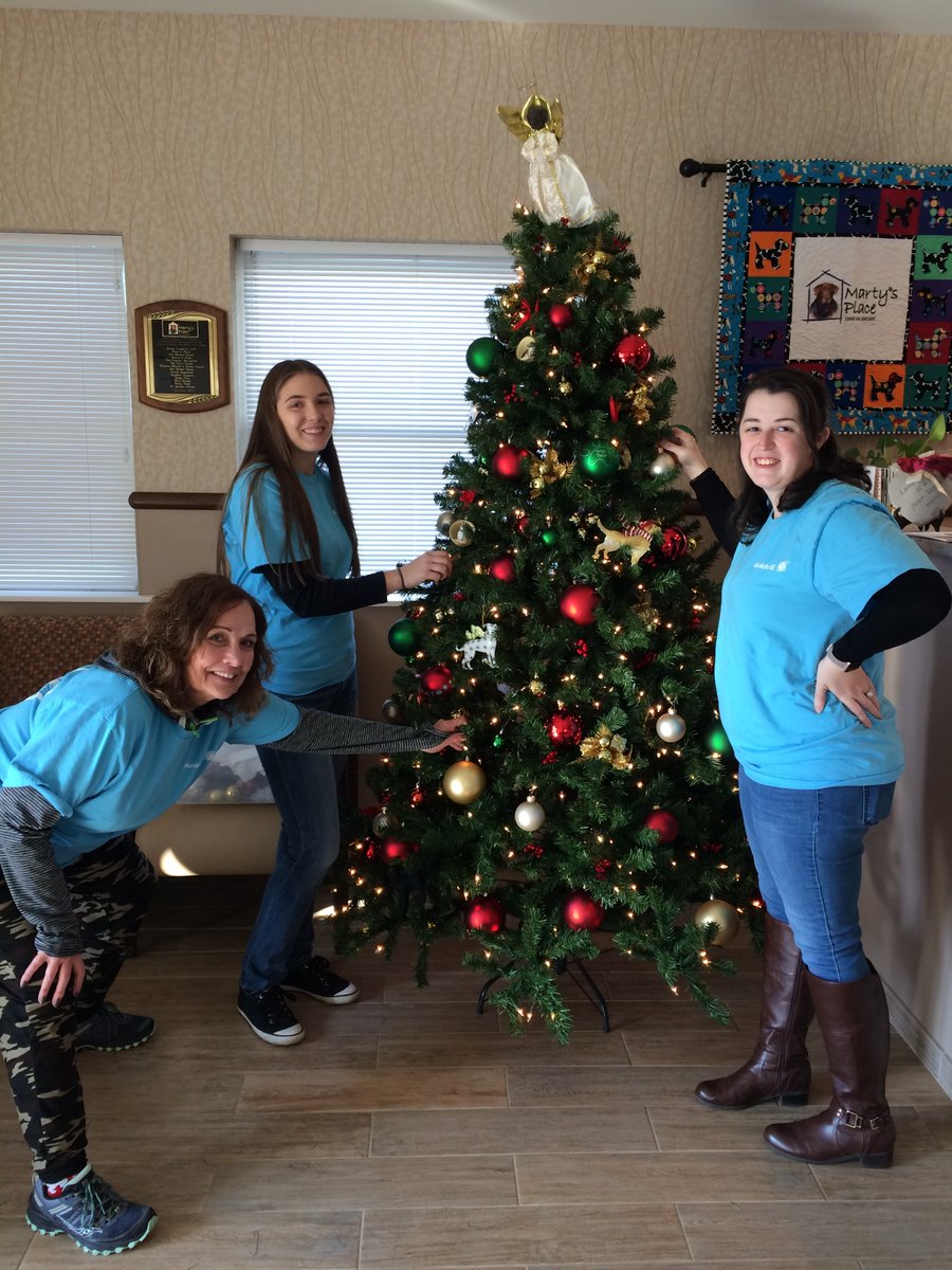 KathySully28's tweet photo. This #GivingTuesday was spent hanging out at @martys_dogs to help them get ready for the #holidayseason with some great colleagues @MunichRe_US #community #givingback #volunteering #dogood #makeadifference #dog #seniordogs #furryfriends https://t.co/lsN0bbsIdy