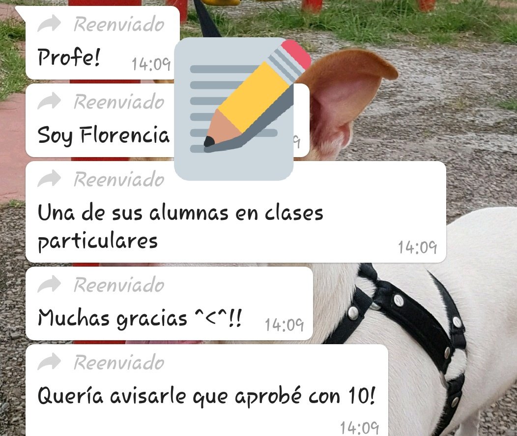 Los #PlayonesEducativos brindan clases de apoyo destinados a estudiantes de nivel secundario. A dos semanas de su inicio hay estudiantes como Florencia que aprueban sus últimos exámenes y pueden pasar de curso <a href="/MEducacionSalta/">Ministerio de Educación de Salta</a> <a href="/UrtubeyJM/">Juan Manuel Urtubey</a> <a href="/fguillesaavedra/">GUILLERMO SAAVEDRA</a>