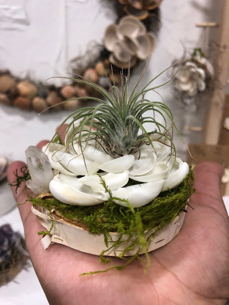 RVRShells's tweet image. Make sure to follow me on IG and view some lovely ocean inspired holiday gifts for you and your loved ones!

instagram.com/p/B5lMCHVBN68/…