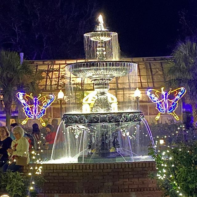 WildHeartdGypsy's tweet photo. Day 3 of the #eyecandyholidaychallenge -Tis the Season....to go to @bellingrathgardens to see all the Christmas lights. This has become a bit of a tradition for me now. No matter how many times I see the lights, it never gets old 🎄🎄 #wildheartedgypsy… https://t.co/ZVG1ssJ0xV https://t.co/qvtPNiHt9a