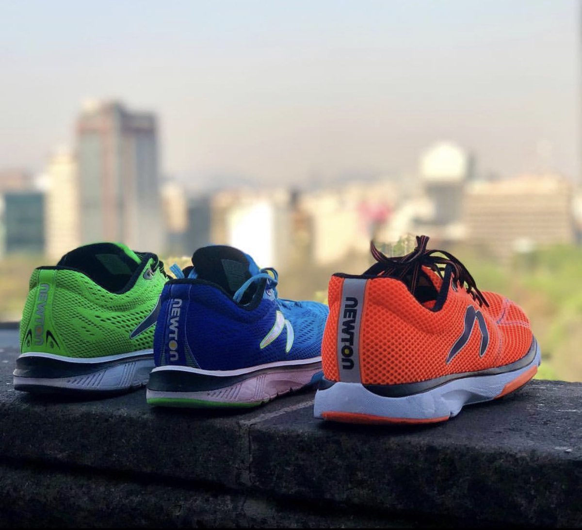 newton running shoes 2019