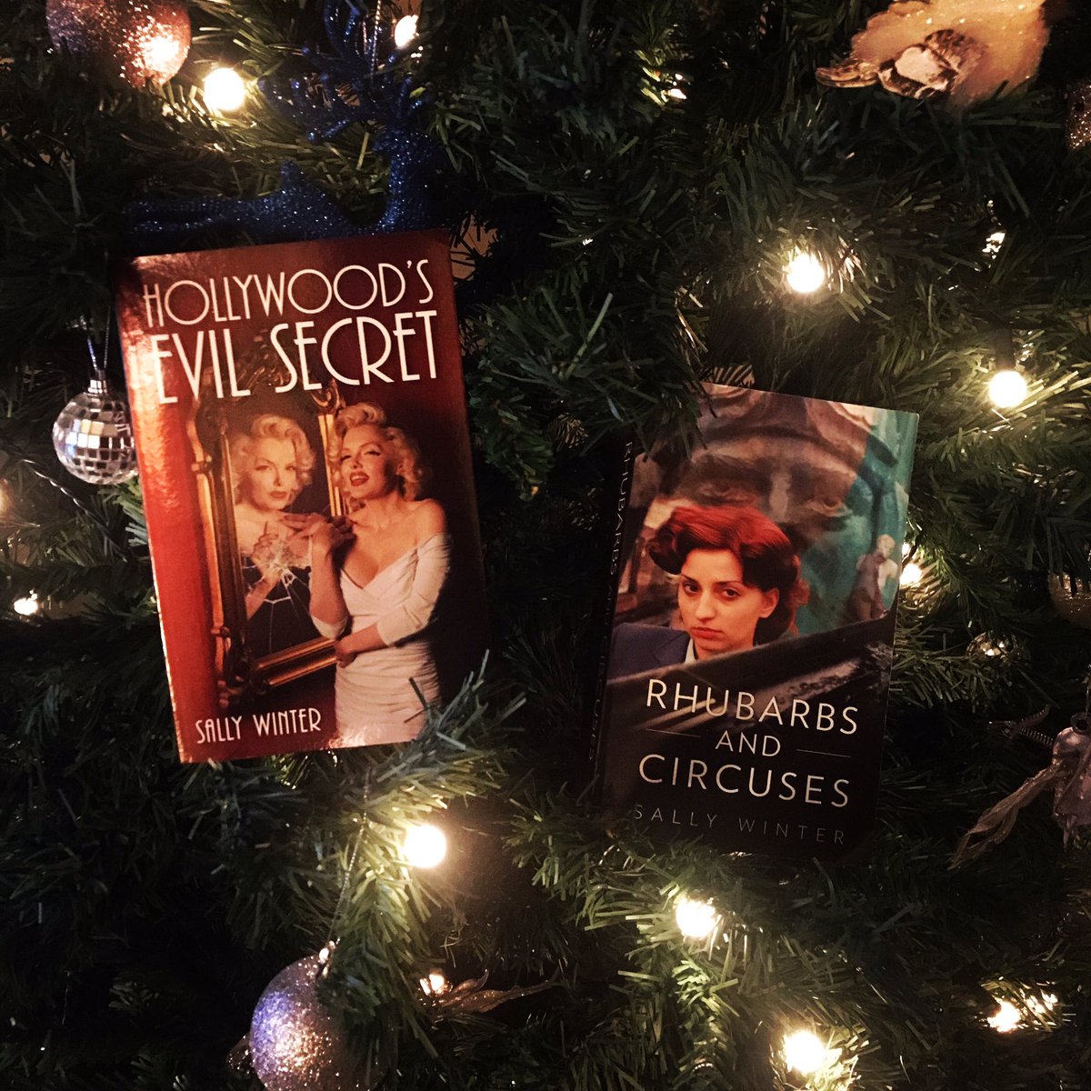 Looking for a Christmas gift for a book lover? Hollywood’s Evil secret is a Marilyn Monroe conspiracy theory and Rhubarbs and Circuses is a paranormal romance, time travel novel. Purchase available through Amazon and Kindle. #christmasgiftideas #booklover #Amazon #Kindle