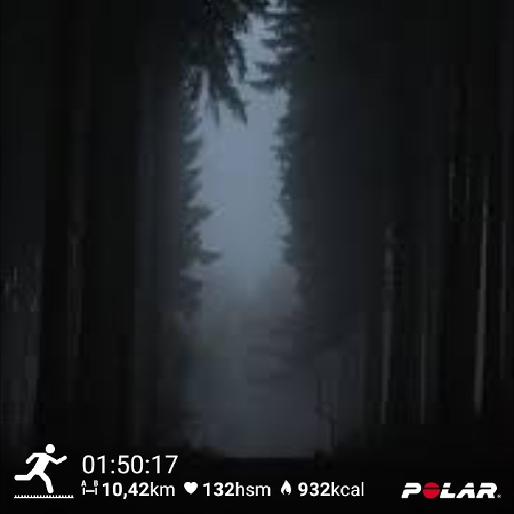 EBOE73's tweet photo. #trailtraining in the dark no headlight trust your intuition #thehaqueroadrunners https://t.co/4zgn5ZRae2