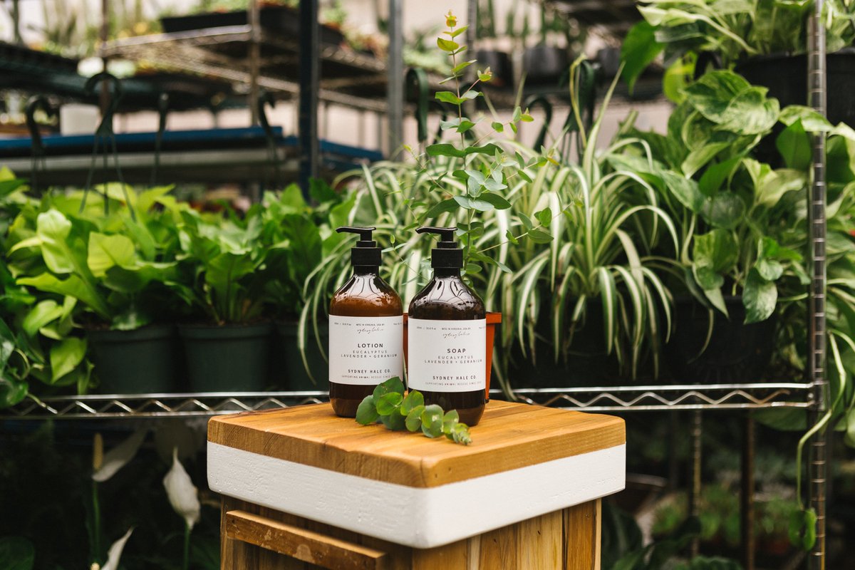 Sydney Haleco objective has always been to formulate beautiful products of the highest quality in the USA, to reduce the stress on landfills through the choice of packaging materials.

© Photo by The Creative Exchange