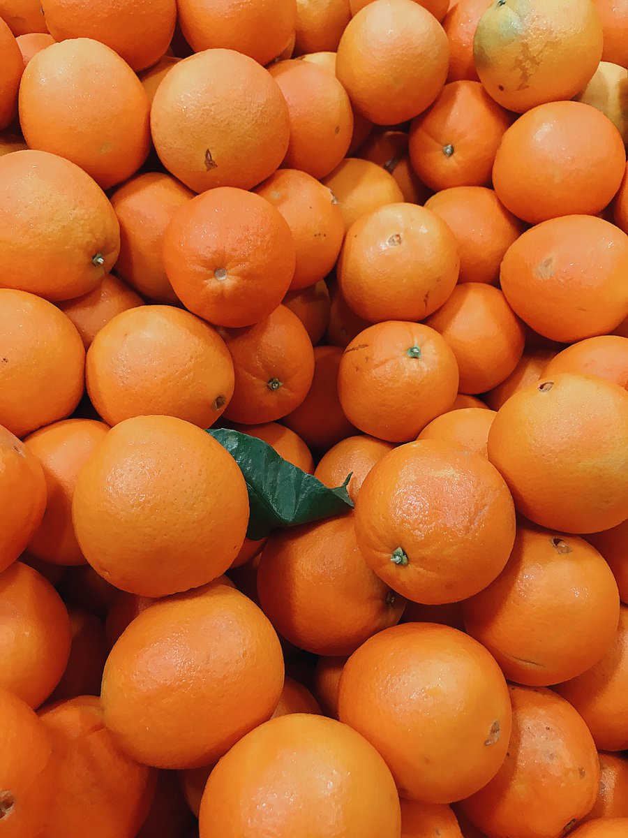 BranchToBox's tweet image. Did you know that one orange will give you all the vitamin C you need for a whole day? Orange you glad we feature the best citrus in our boxes? 🍊 #branchtobox #officefruitdelivery #californiagrown #citrus #fruit #healthylifestyle