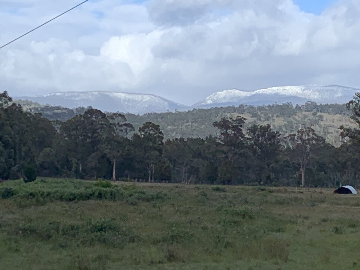 How are our #berries supposed to ripen when instead of #summersun we get #summersnow?? This was the view of Mt Field from Westerway this morning!