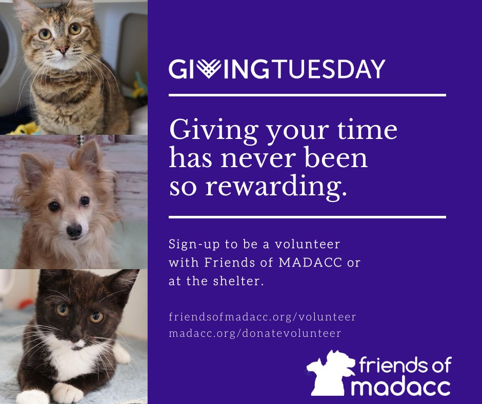 Volunteering at MADACC is a meaningful way to make a difference in the lives of animals. MADACC offers a variety of volunteer positions to help improve the lives of the over 10,000 animals per year that enter the shelter. #GivingTuesday

Sign-up here: madacc.org/donatevoluntee…