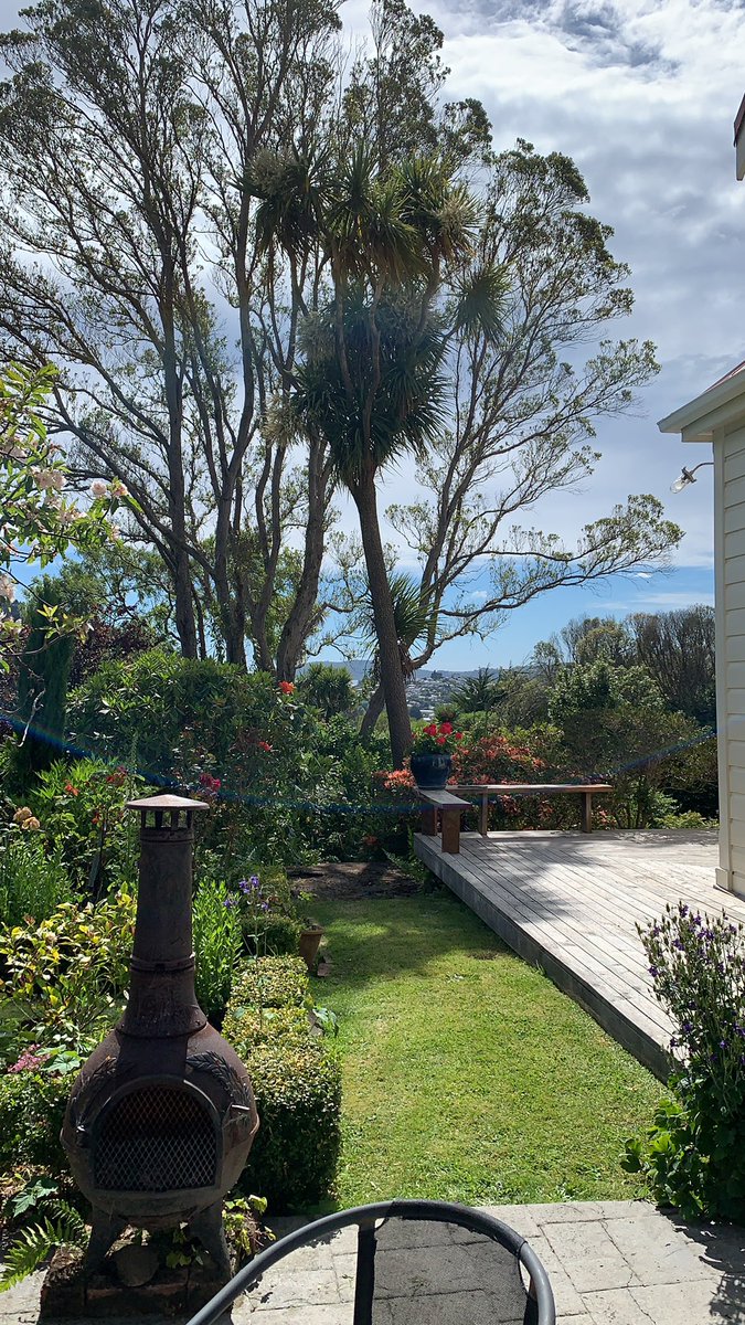 Was rain and cold now sun and warm. Make up your mind Dunedin