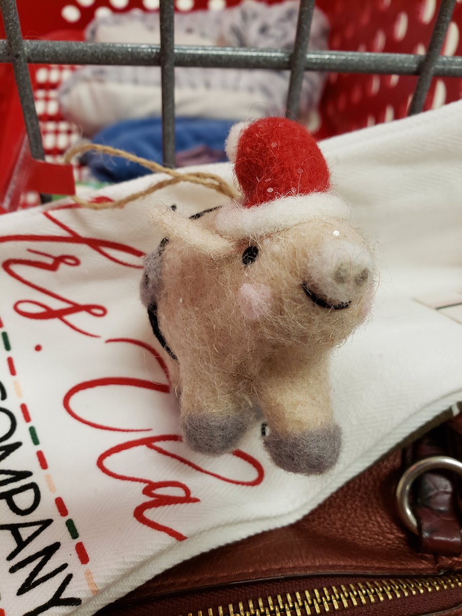 RhondaT444's tweet photo. @TCourt_10 I found this dirty stepped on little pig @Target last night. I felt so bad for him. I know he would end up in the dump before Christmas if I hadn't bought him. Kind of like the ugly pup at the shelter. So I bought it. Lol https://t.co/zM9eKgEyit